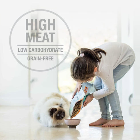 Feline Natural Beef Freeze Dried Cat Food 11oz - Poudre Pet and Feed Supply